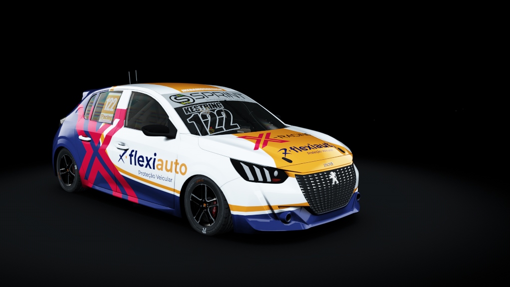 TURISMOCUP - PEUGEOT 208, skin 122 FLAVIO KESTRING